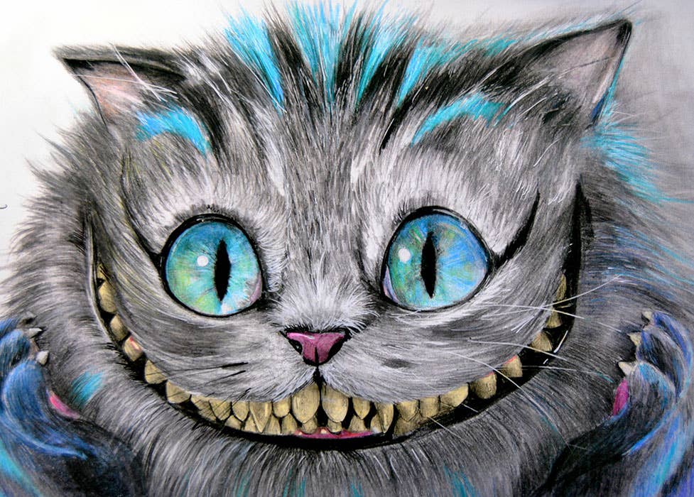 Cheshire Cat - Gallery Quality Stretched Canvas Art Print