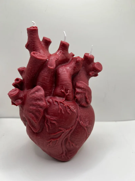 Anatomical Heart Candle