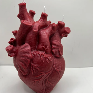 Anatomical Heart Candle