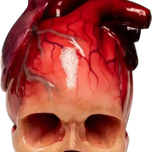 Creative Skull Heart Desk Tabletop Decorative Heart Shaped Decorations Realistic Heart Sculpture