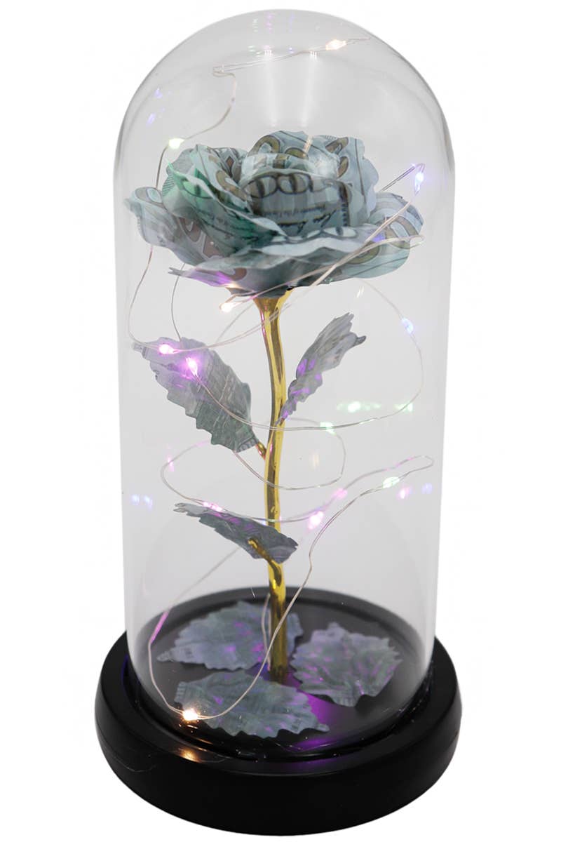 Money Rose Glass Dome LED Light Stand