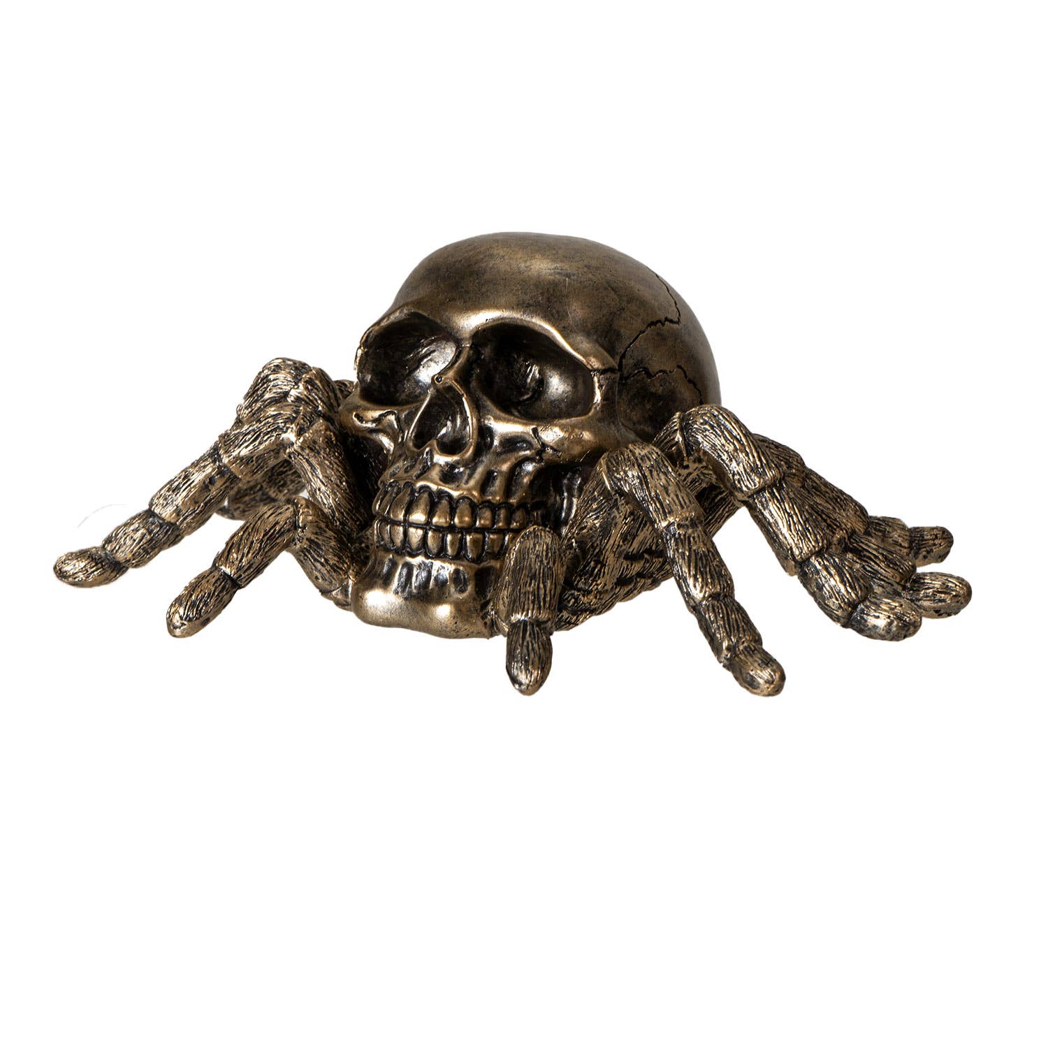 Spider Skull Statue