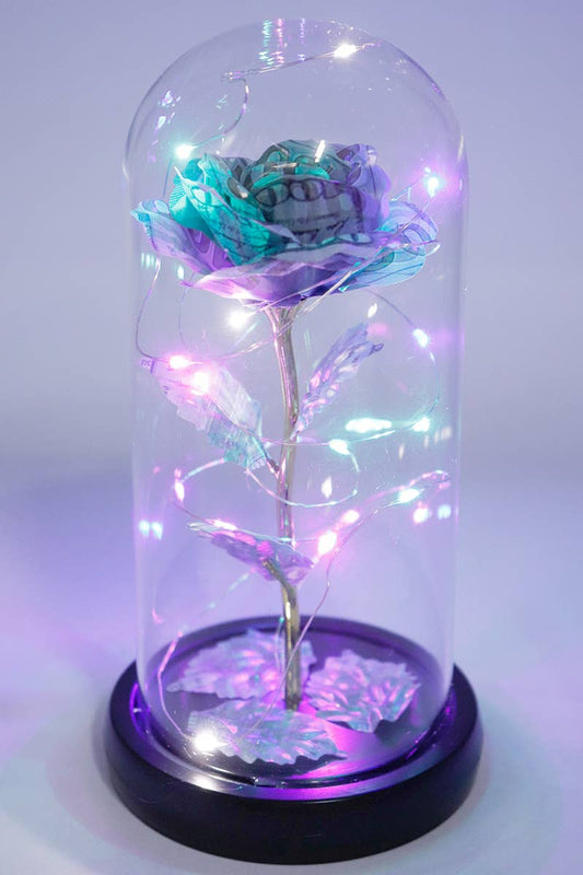 Money Rose Glass Dome LED Light Stand