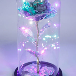 Money Rose Glass Dome LED Light Stand