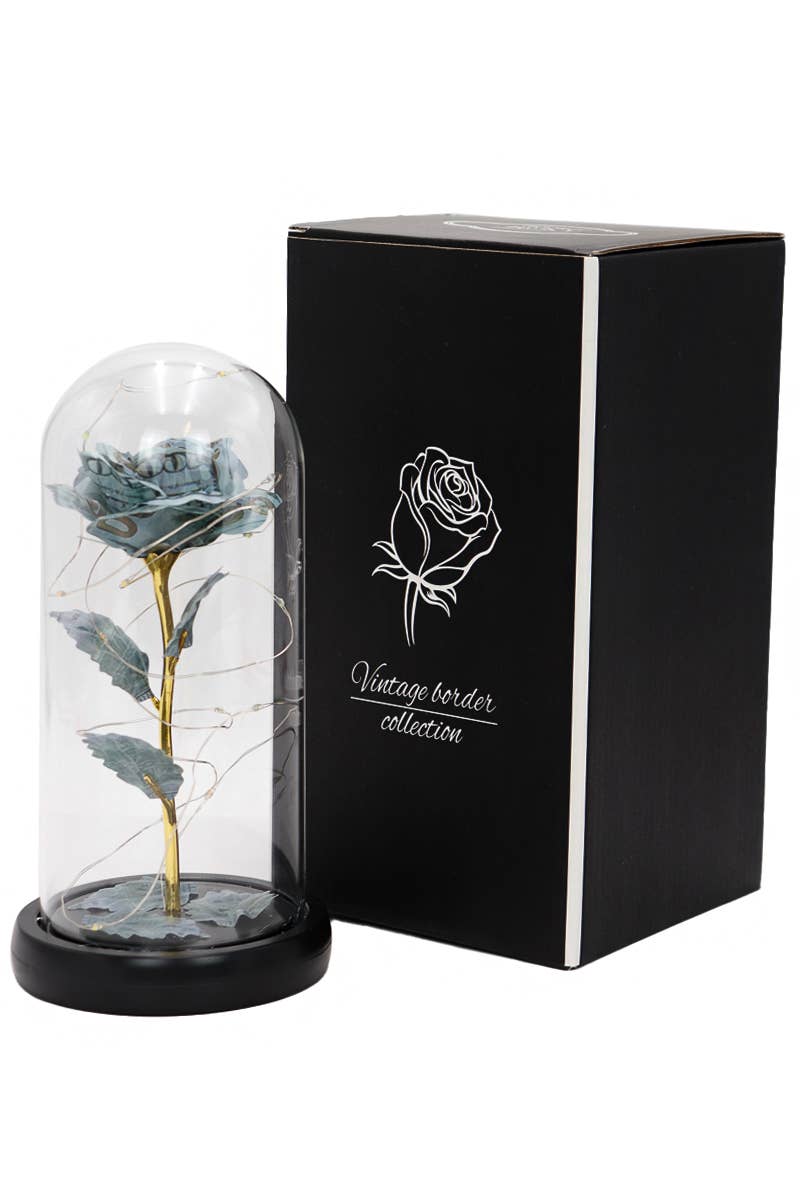 Money Rose Glass Dome LED Light Stand