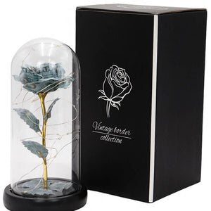 Money Rose Glass Dome LED Light Stand